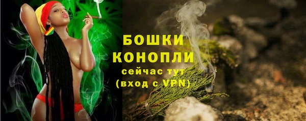 тгк Каменногорск