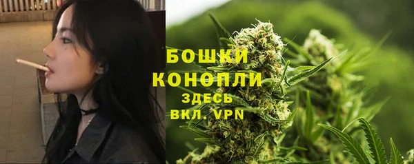 тгк Каменногорск