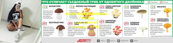 тгк Каменногорск