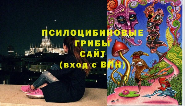 тгк Каменногорск