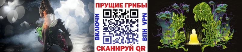 Купить закладки  Новодвинск  Псилоцибиновые грибы ЛСД 